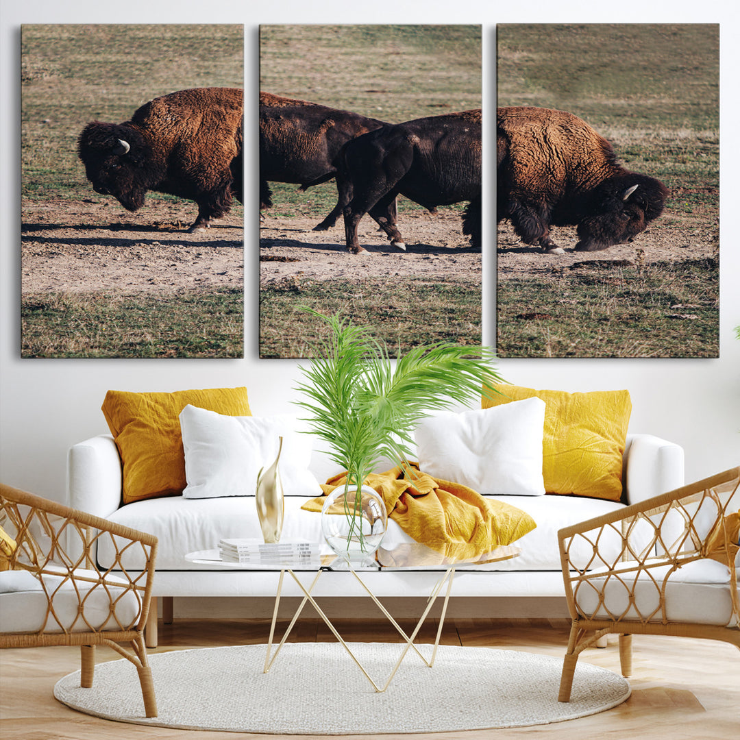 Bison Photography Wall Art Canvas Print, Framed Western Wildlife Art Picture Print, Modern Ranch Perfect Western Rustic Decor Artwork