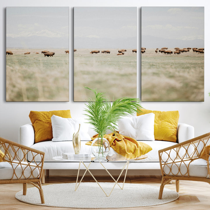 Bison Herd Wall Art Canvas Print, Framed Western Art Picture Print, Bison Perfect Ranch Decor Artwork