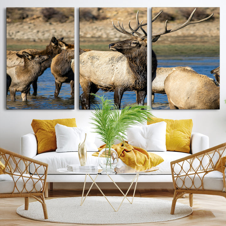 Wild Elk Photography Wall Art Canvas Print, Framed Neutral Wildlife Scene Art Picture Print, Rustic Animal Print Perfect Rustic Farmhouse