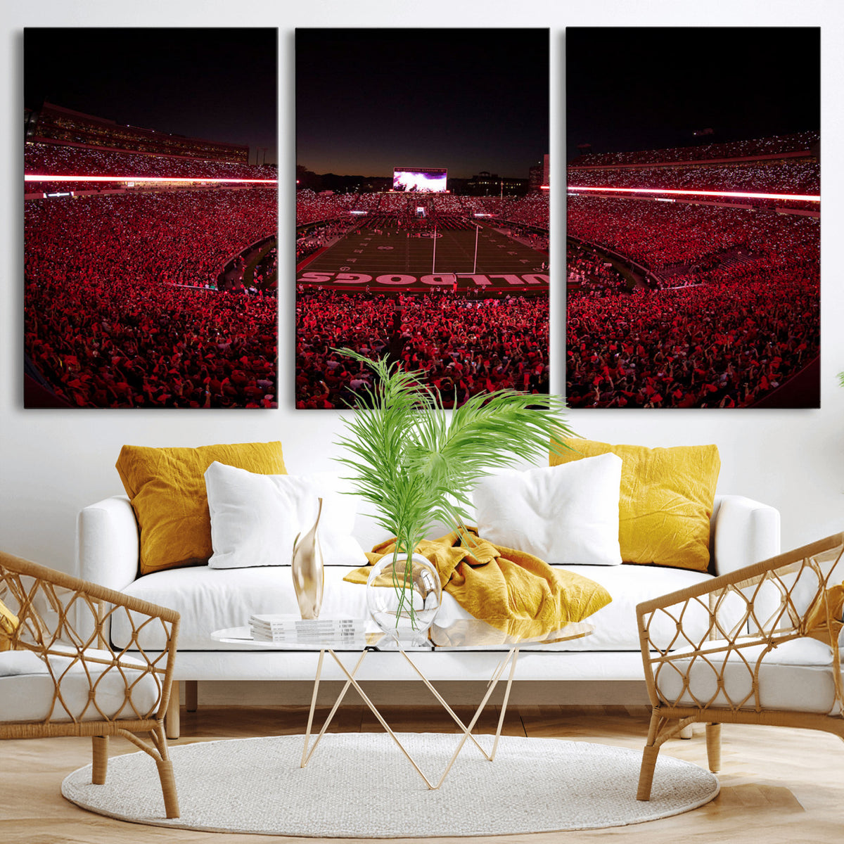38331045-MGV-CV-36X24 - Dooley Stadium Wall Art, Sports Arena Canvas Print, Dooley Field Sanford Stadium