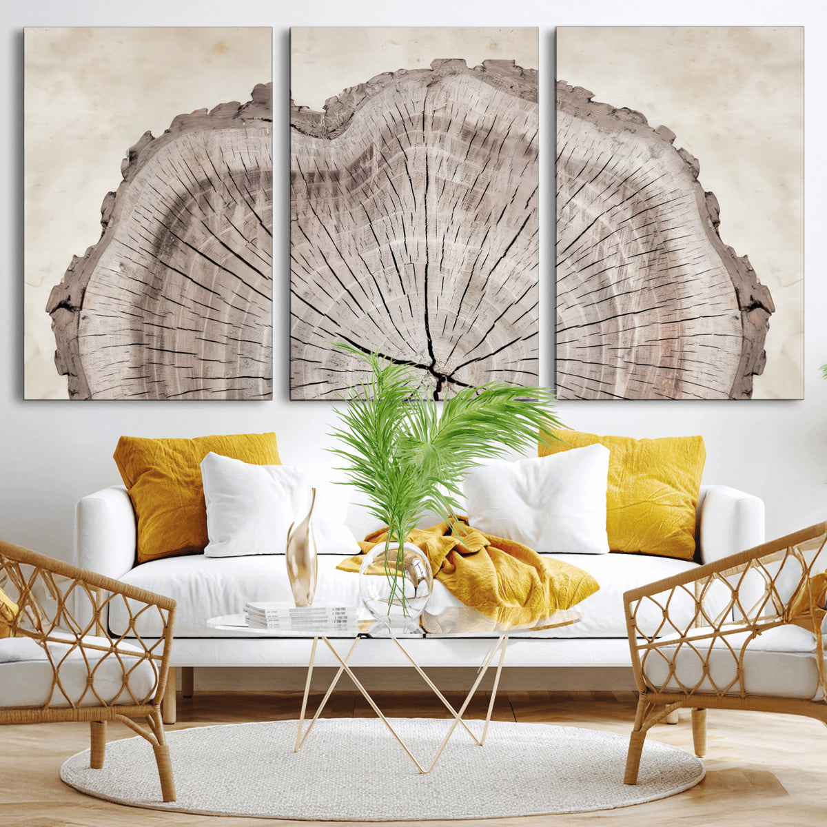 87833480-MGV-CV-60X30-3P - Tree Ring Canvas Wall Art in Neutral Earth Tones, Framed Wood Slice Print for Rustic and Japandi Interiors