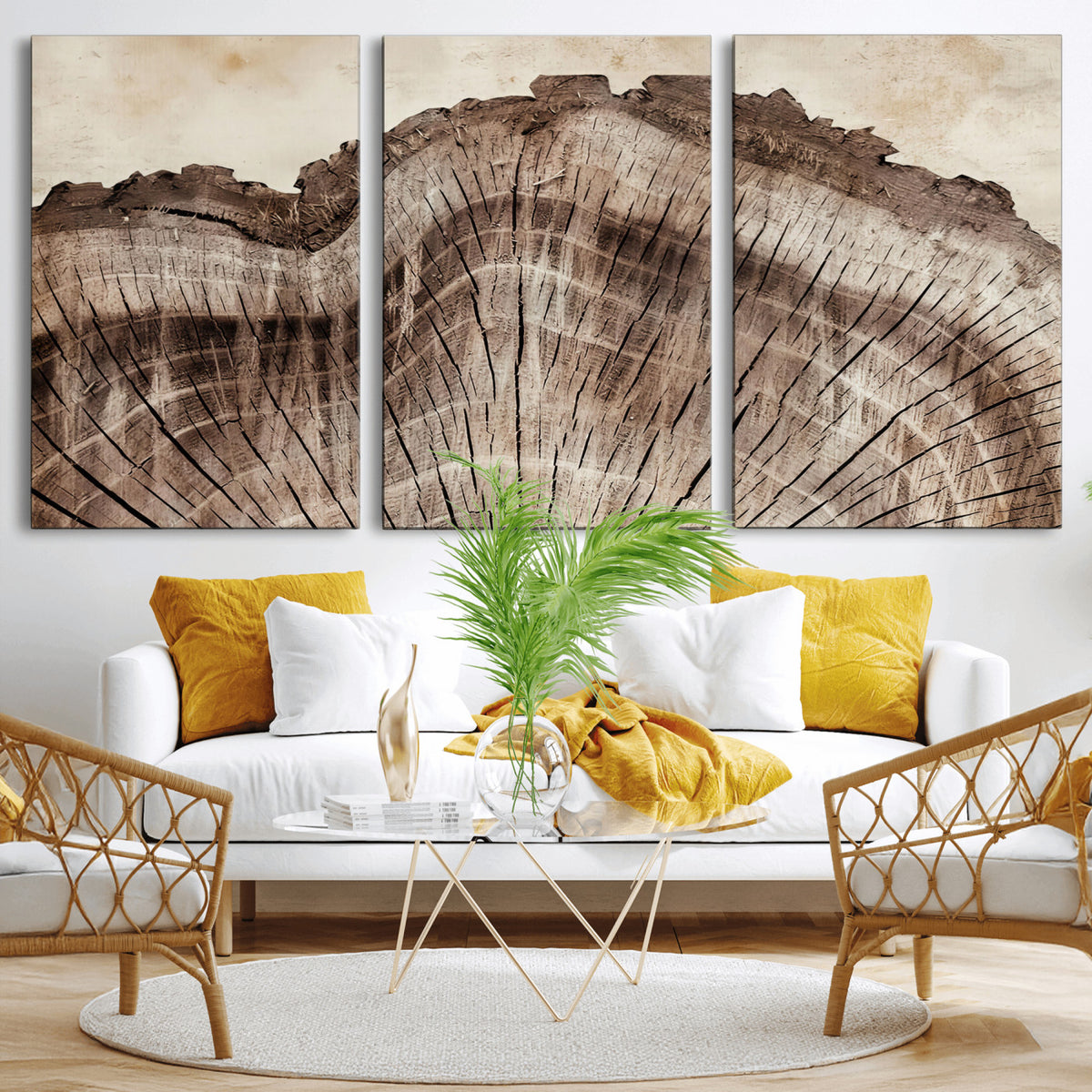 91280382-MGV-CV-60X30-3P - Tree Ring Canvas Wall Art in Neutral Earth Tones, Framed Wood Slice Print for Rustic and Japandi Interiors