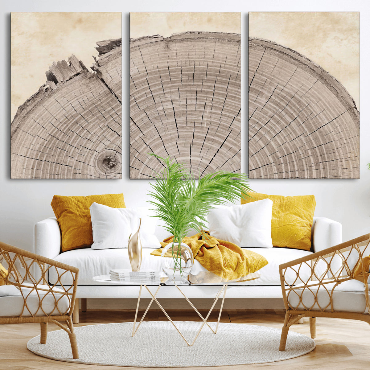 64174838-MGV-CV-60X30-3P - Tree Ring Canvas Wall Art in Neutral Earth Tones, Framed Wood Slice Print for Rustic and Japandi Interiors