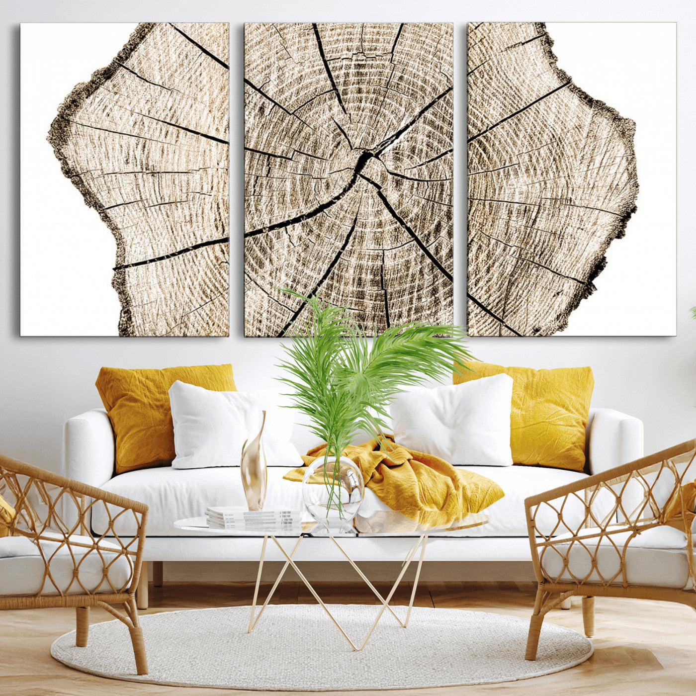 MGV-CV-60X30-3P - Abstract Wood Tree Ring Wall Art - Ready to Hang Minimalist Wooden Design for Rustic & Contemporary