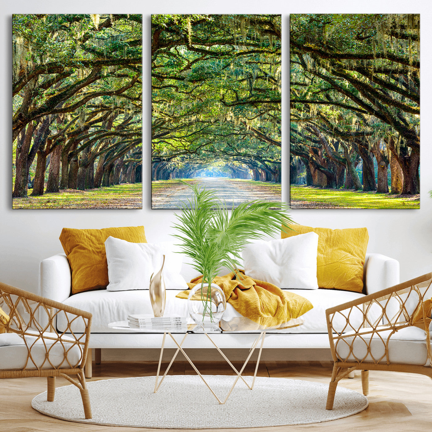 MGV-CV-60X30-3P - Wormsloe State Plantation Driveway Wall Art Canvas Print