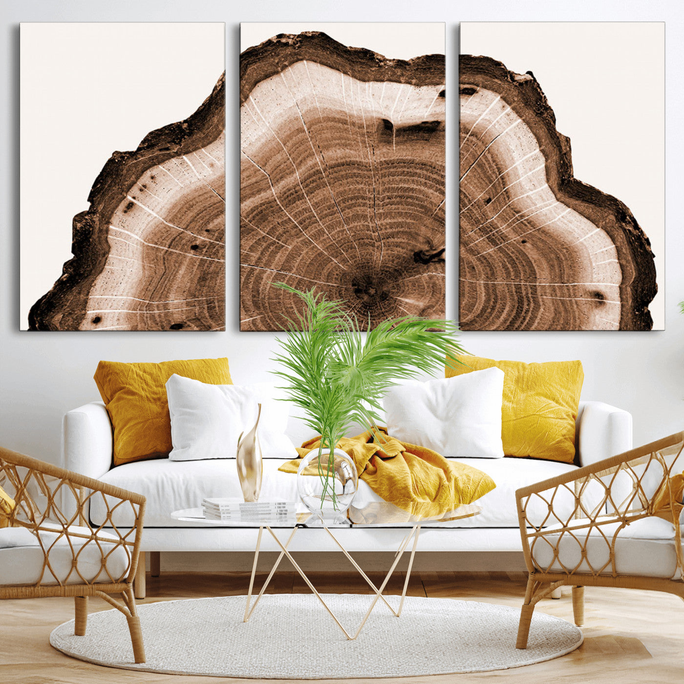 45195-MGV-CV-36X24-Rustic Wood Rings Wall Art | Nature-Inspired Tree Ring Canvas Print | Ready to Hang and Framed for