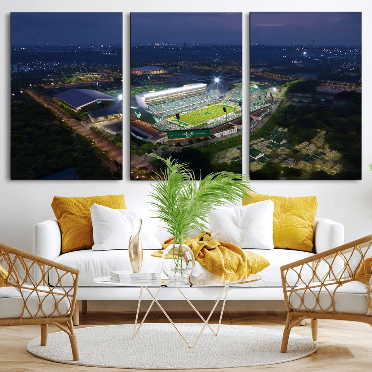 27554-MGV-CV-36X24 - The University of South Florida Bulls Football Team Print