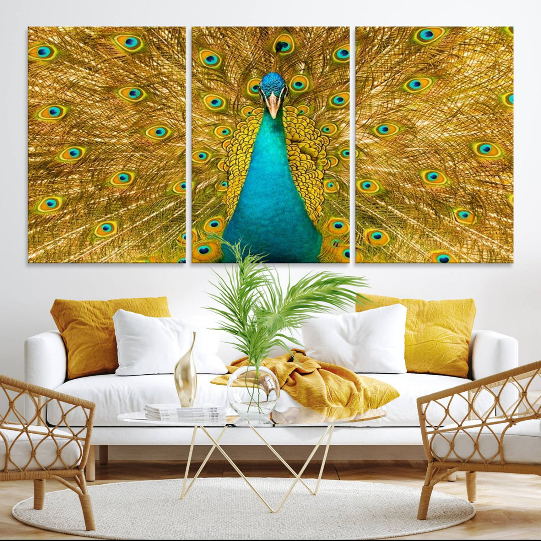 The Peacock Wall Art Canvas Print adorns a bright wall.