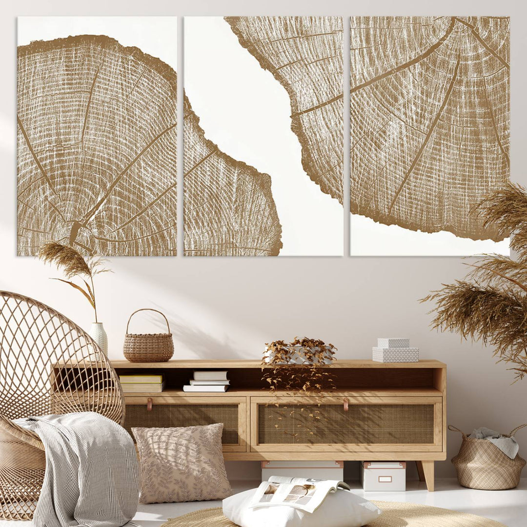 The rustic wall art features two large tree rings, beautifully framed and displayed to create a nature-inspired décor.