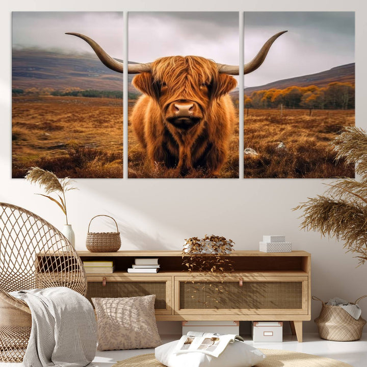 Highland Cow Longhorn Canvas Print, framed, on a wooden wall.