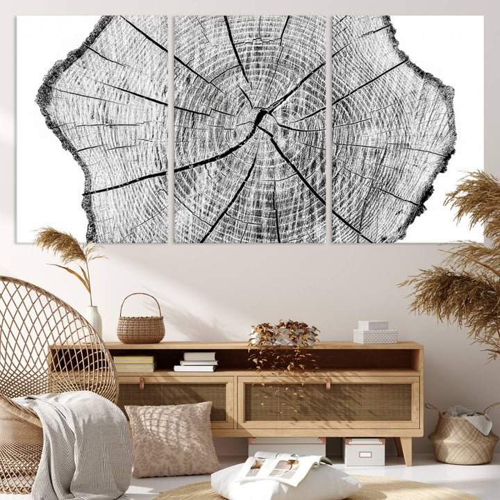 Black and white tree ring art print.