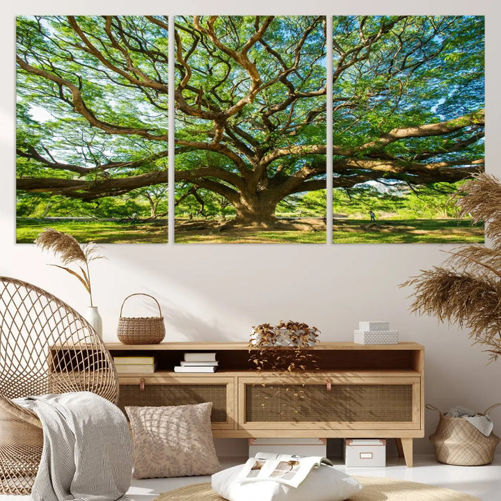 The Angel Oak Tree Wall Art, a multi-panel canvas print showcasing a large tree with sprawling branches and green leaves in a style reminiscent of the majestic Angel Oak Tree, elegantly adorns the wooden wall in the living room.