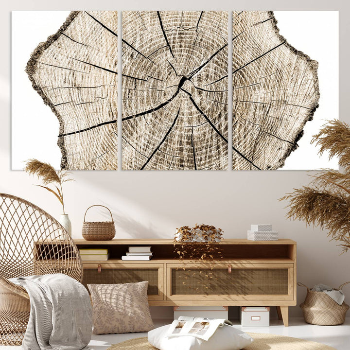 The Abstract Wood Tree Ring Wall Art set of 3 adds a minimalist touch to the space.