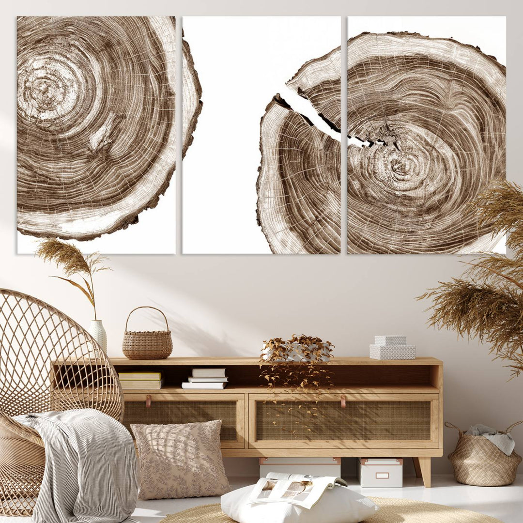 Wood Tree Ring Wall Art on a minimalist black and white canvas.