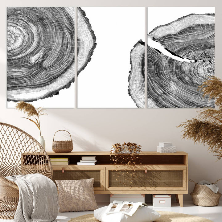 The minimalist art piece Abstract Large Tree Rings on canvas creates a striking focal point.