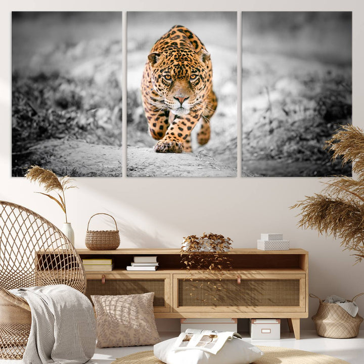 A striking three-panel "Jaguar Stalking Wall Art Canvas Print - Majestic Big Cat in Focused Pursuit" features a leopard walking forward, set against a black and white background.