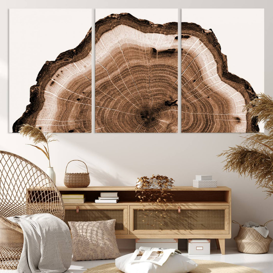 Rustic Wood Rings Wall Art | Nature-Inspired Tree Ring Canvas Print | Ready to Hang and Framed for Farmhouse Wall Decor