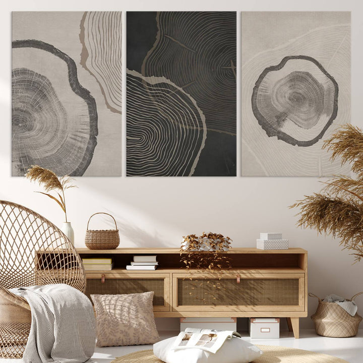 Framed Canvas Wall Art Set Wood Tree Rings Age Abstract Illustrations Prints Modern Art Minimalist Neutral Boho Decor