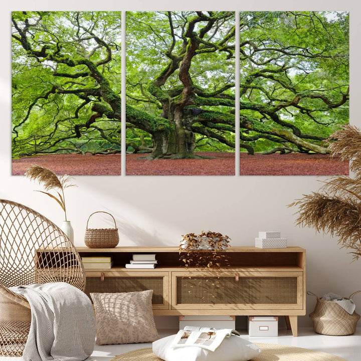 Framed Angel Oak Tree Wall Art - 3-Panel Canvas Prints, Large Green Nature Artwork, Ready to Hang Home Decor for Living Room, Office, Bedroom