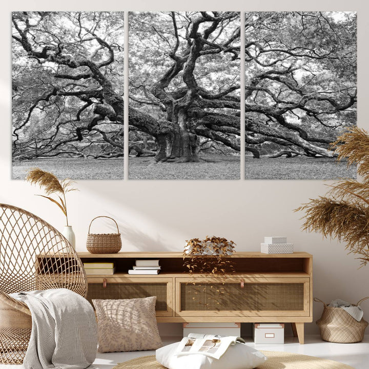 Black White Angel Oak Tree Wall Art - Timeless Nature-Inspired Canvas for Rustic, Modern, or Traditional Home Decor