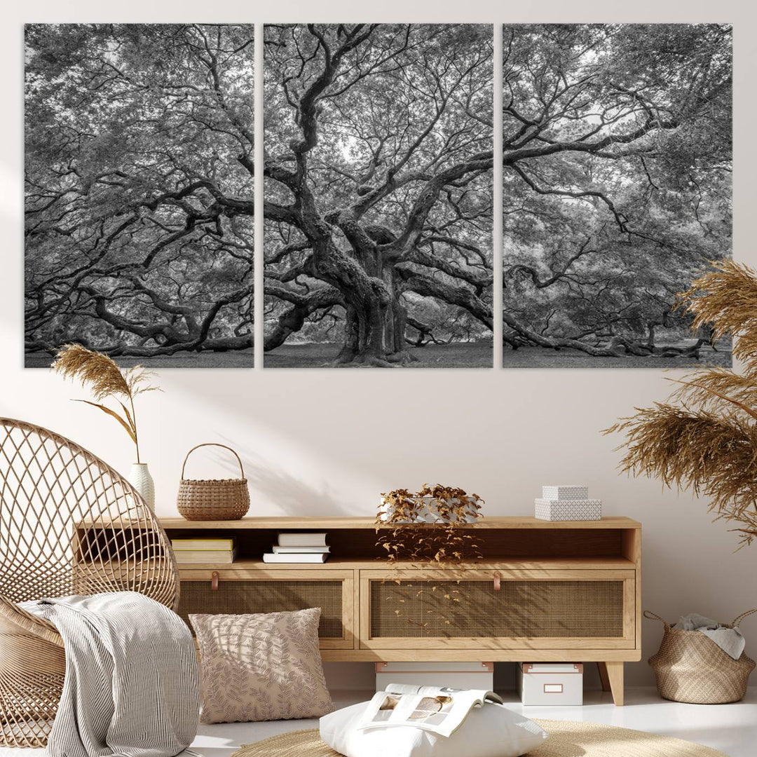 Majestic Angel Oak Tree Black and White Canvas Print – Multi Panel Wall Art, Giclée Print, Ready to Hang Nature Photography for Home Decor