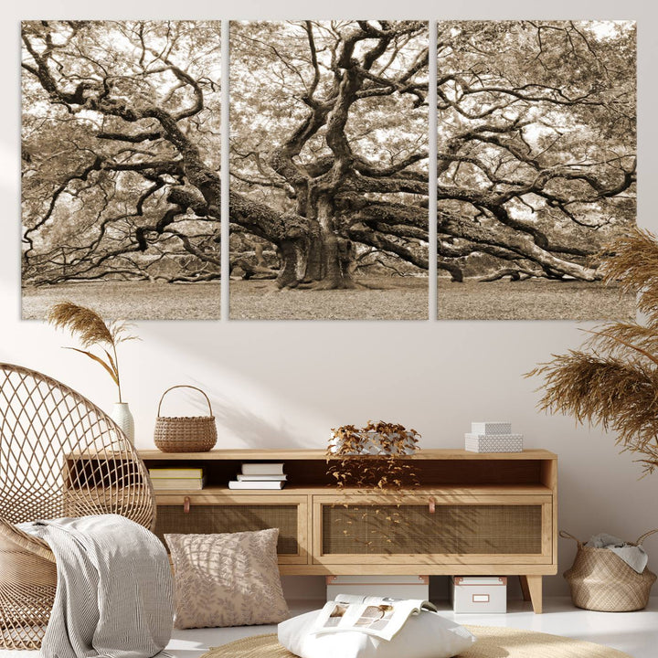 Displayed on the wall is a Sepia-framed Angel Oak Tree 3-panel canvas.