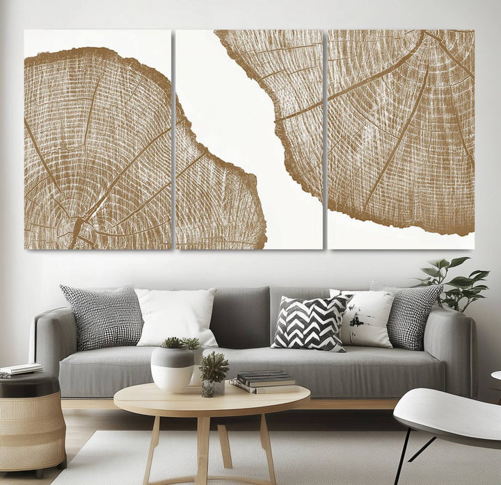 The rustic wall art features two large tree rings, beautifully framed and displayed to create a nature-inspired décor.