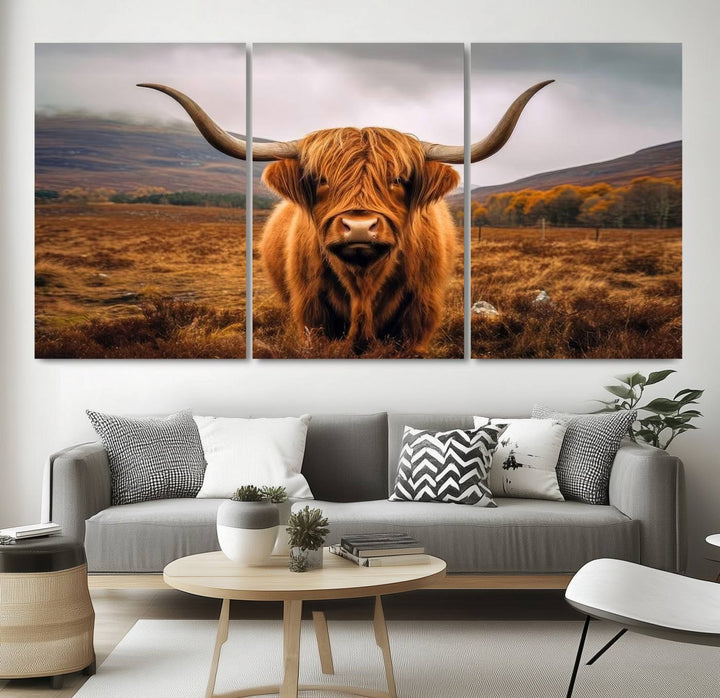 Highland Cow Longhorn Canvas Print, framed, on a wooden wall.