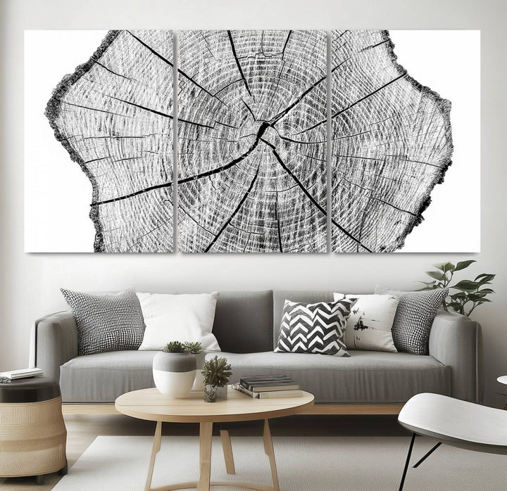 Black and white tree ring art print.