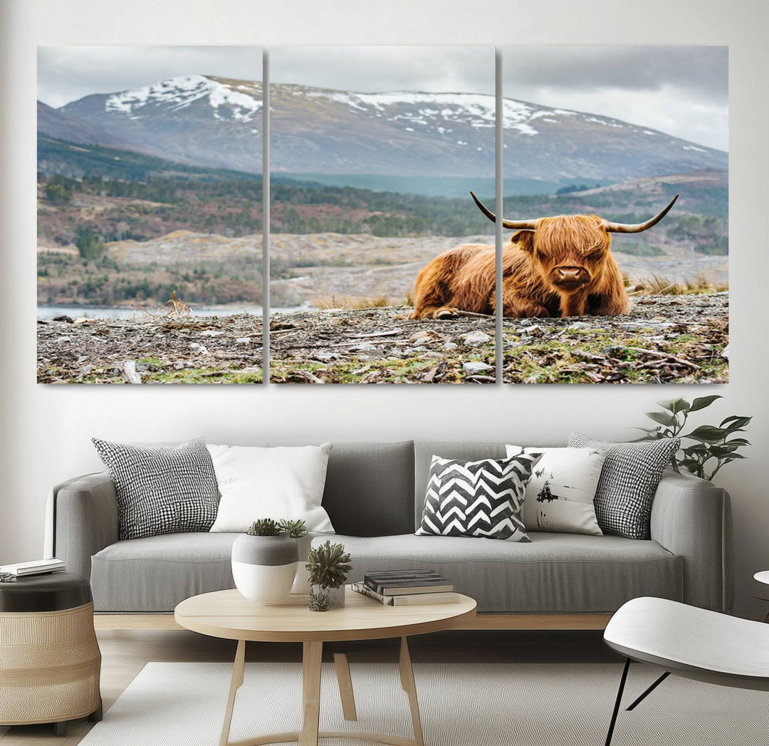 Highland Cow Horn Farm Wall Art Canvas Print is displayed against a wooden wall featuring a mountainous backdrop.