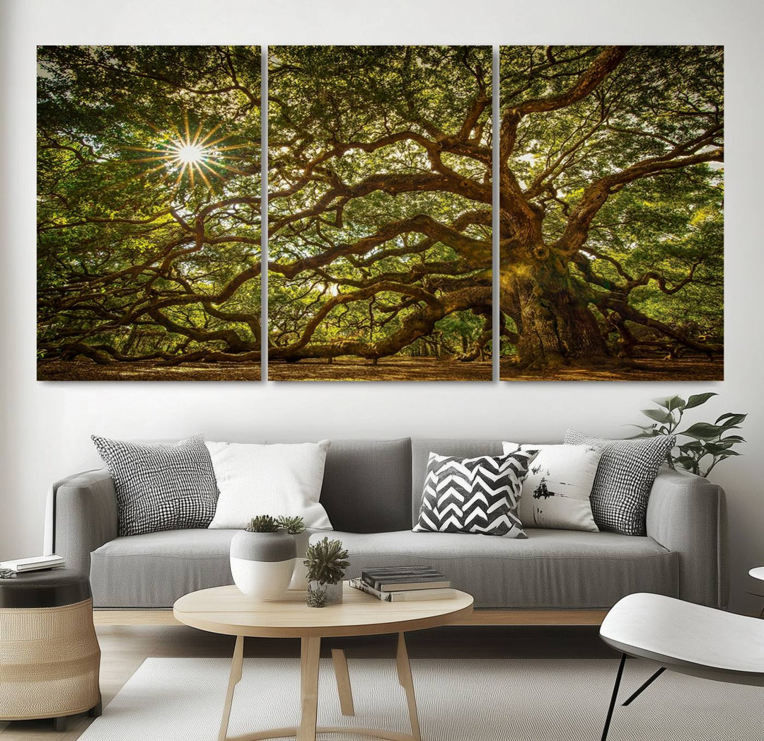 The Ancient Angel Oak Tree Art Sunburst Canvas Print, a framed triptych, serves as wall art.