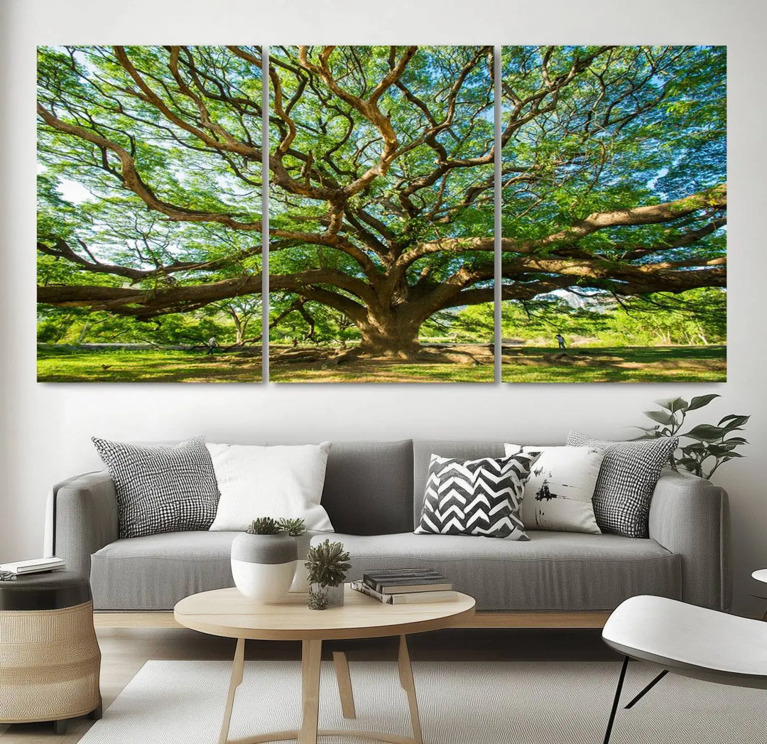 The Angel Oak Tree Wall Art, a multi-panel canvas print showcasing a large tree with sprawling branches and green leaves in a style reminiscent of the majestic Angel Oak Tree, elegantly adorns the wooden wall in the living room.