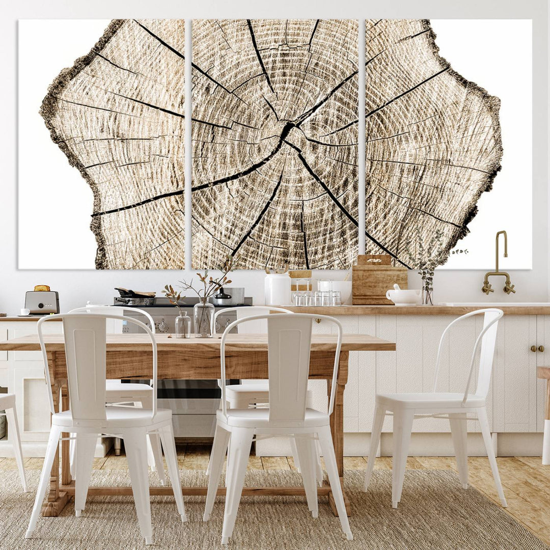 The Abstract Wood Tree Ring Wall Art set of 3 adds a minimalist touch to the space.