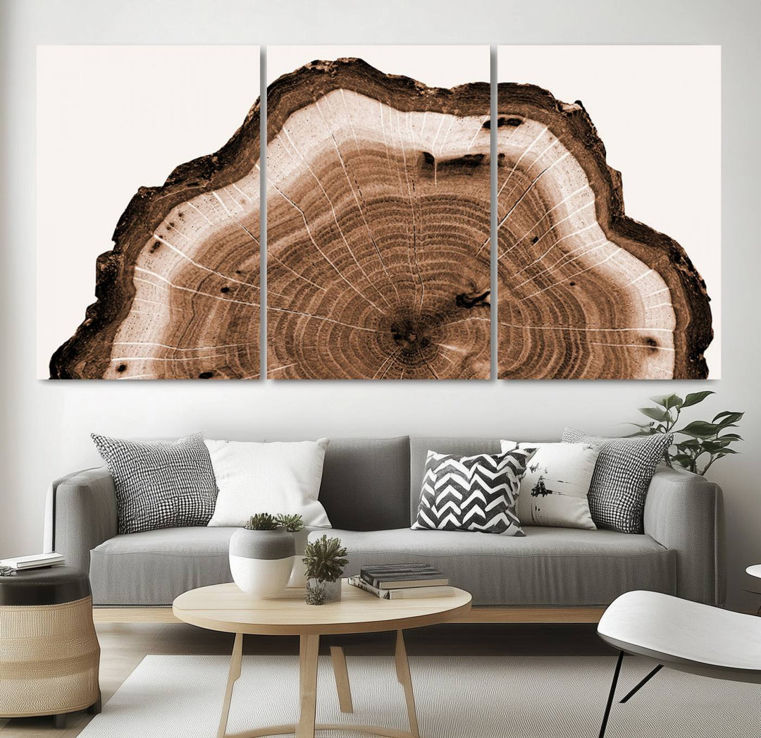 Rustic Wood Rings Wall Art | Nature-Inspired Tree Ring Canvas Print | Ready to Hang and Framed for Farmhouse Wall Decor