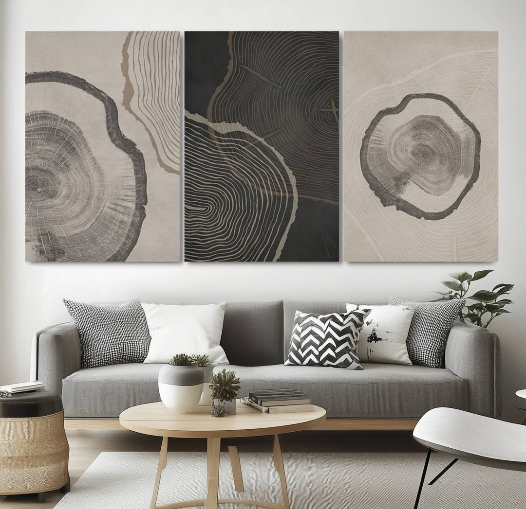 Framed Canvas Wall Art Set Wood Tree Rings Age Abstract Illustrations Prints Modern Art Minimalist Neutral Boho Decor