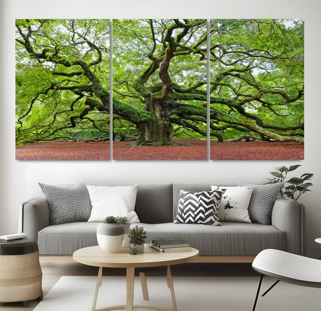 Framed Angel Oak Tree Wall Art - 3-Panel Canvas Prints, Large Green Nature Artwork, Ready to Hang Home Decor for Living Room, Office, Bedroom