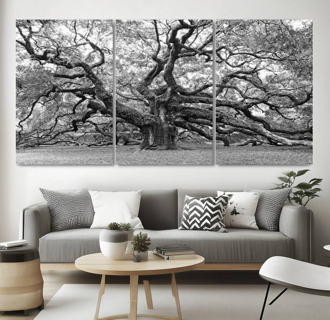 Black White Angel Oak Tree Wall Art - Timeless Nature-Inspired Canvas for Rustic, Modern, or Traditional Home Decor