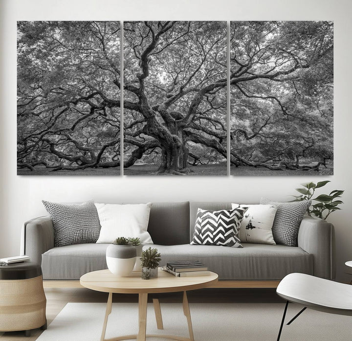 Majestic Angel Oak Tree Black and White Canvas Print – Multi Panel Wall Art, Giclée Print, Ready to Hang Nature Photography for Home Decor