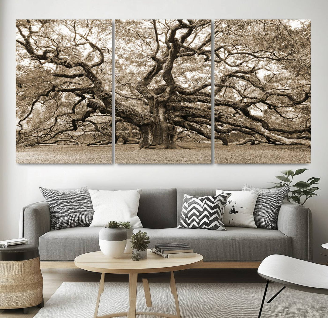 Displayed on the wall is a Sepia-framed Angel Oak Tree 3-panel canvas.