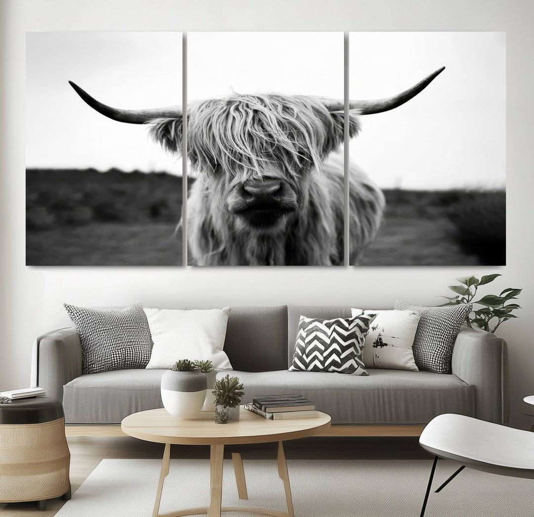 Highland Cow Wall Art | Black and White Farmhouse Decor | Ready to Hang Triptych Canvas Print | Rustic Barn Decor | Scottish Highland Cattle Art Print