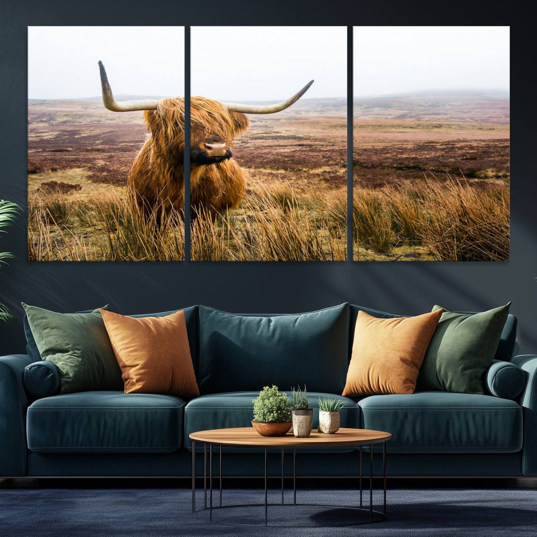 A ready-to-hang Scottish Highland Cow Cattle Canvas Wall Art.