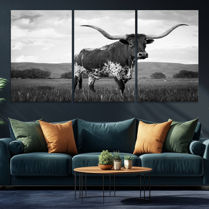 A Black and White Longhorn Texas Cow Canvas Wall Art.