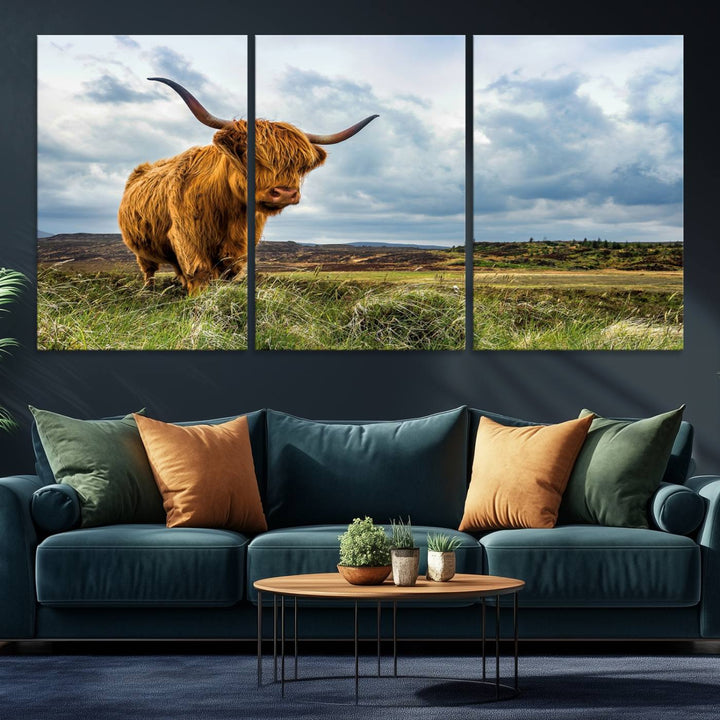 Highland Cattle Canvas Print: A minimalistic touch for any setting.