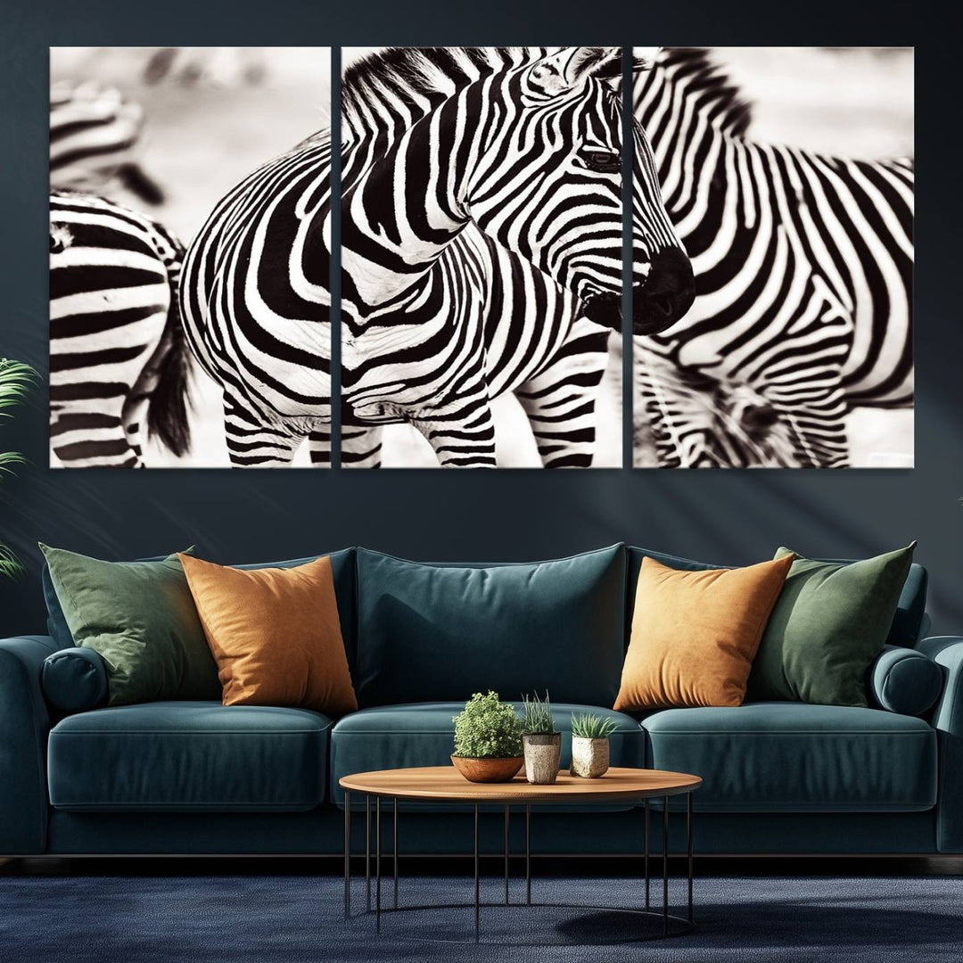 The Brilliant Zebra Photography Art Canvas Print hangs prominently on the wall.