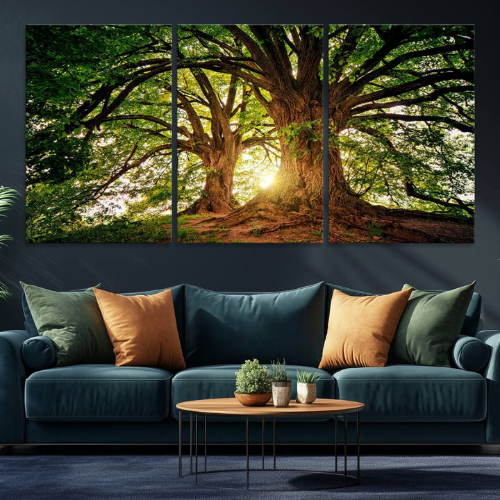 Majestic Ancient Tree Wall Art is illuminated by sunlit forest rays.