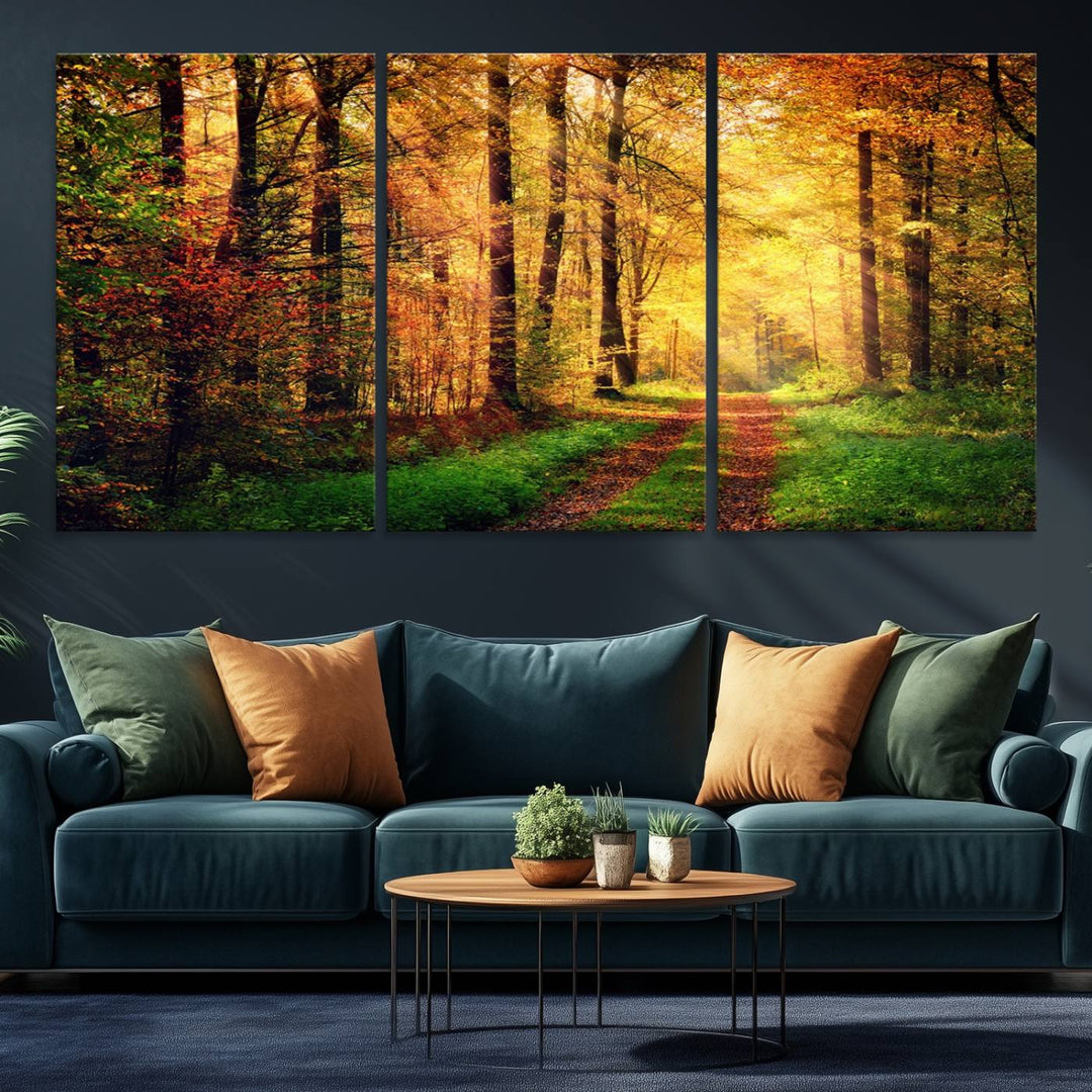 The Sunlight Through Trees Wall Art Canvas Print showcases a sunlit autumn forest and includes UV protection to ensure lasting vibrance.