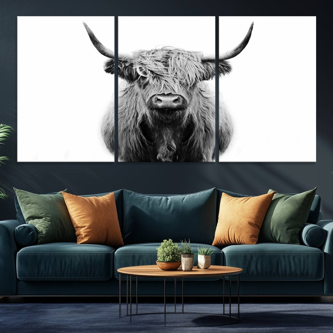 Highland Cow Canvas hanging prominently.