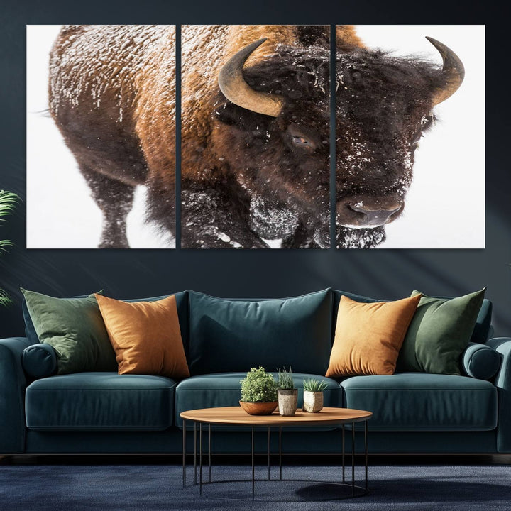 Bison Wall Art Canvas.