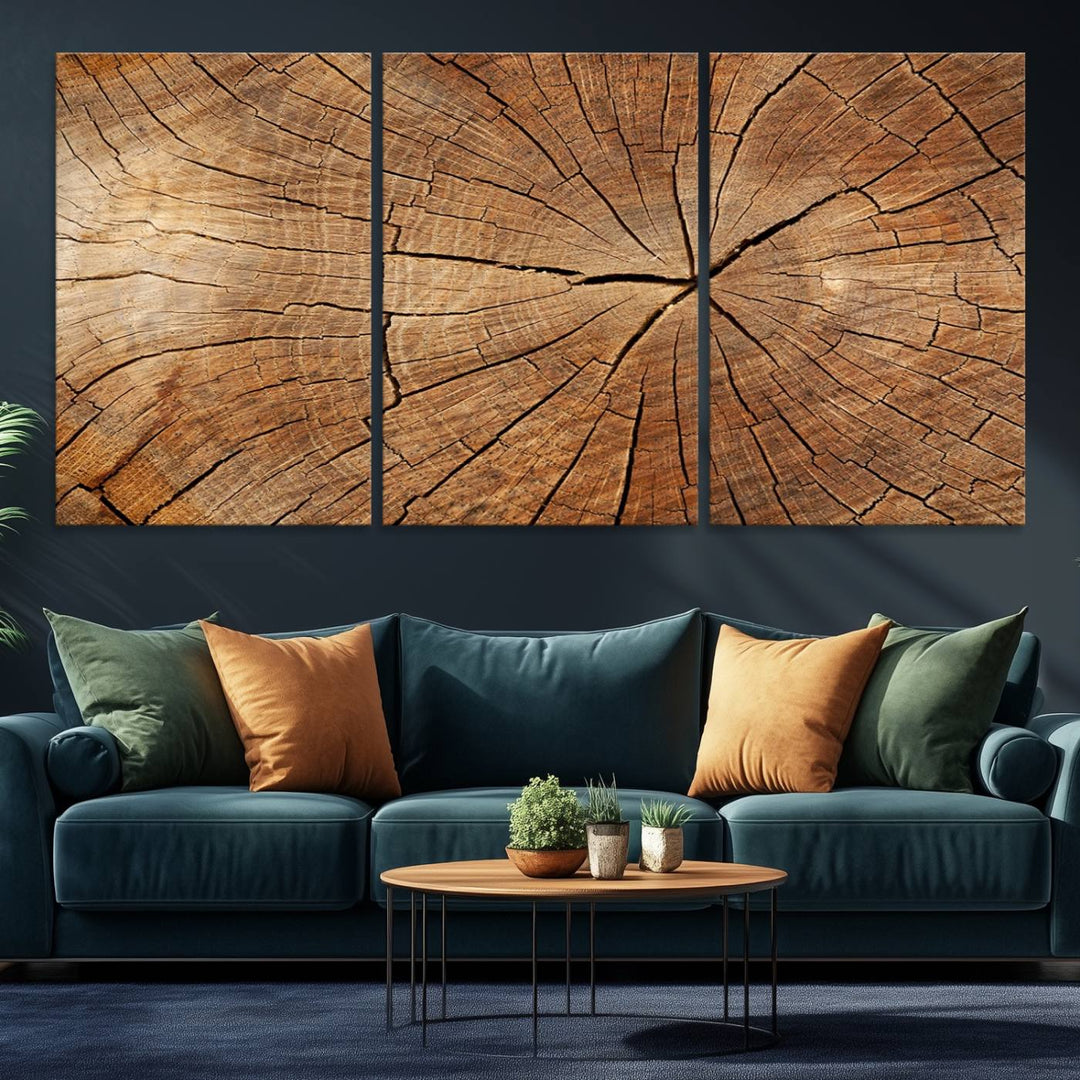 Tree Ring Canvas Art decorates a textured wall.