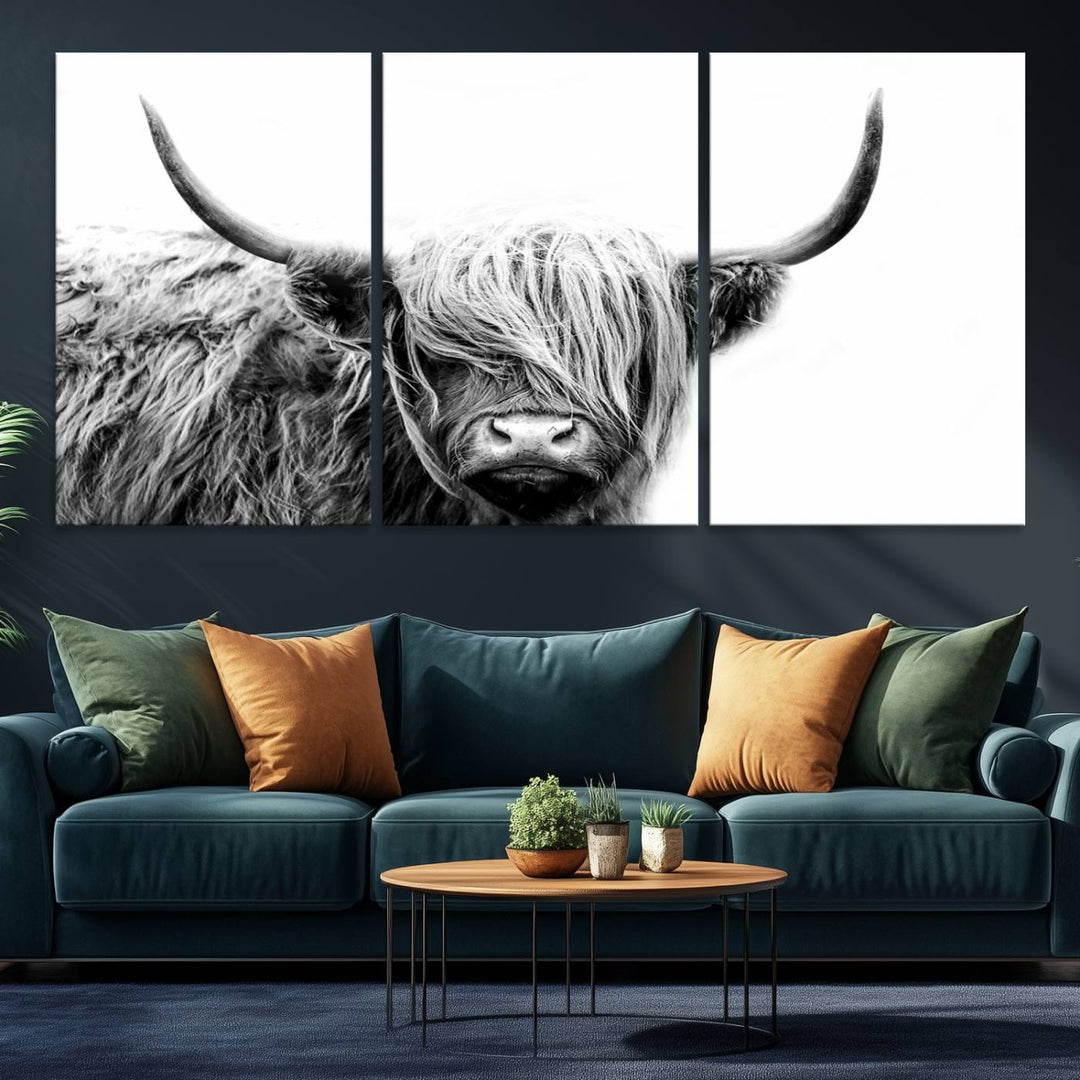 Framed Black and White Scottish Highland Cow Art Print.